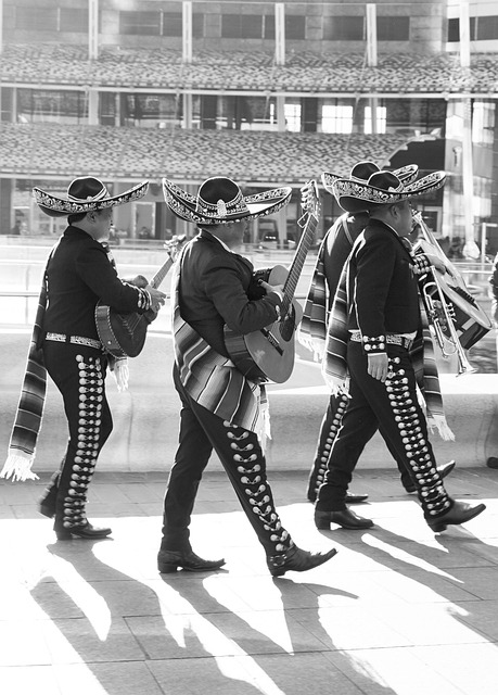 diverse group of adults participating in an interactive workshop about emotional intelligence and dogs